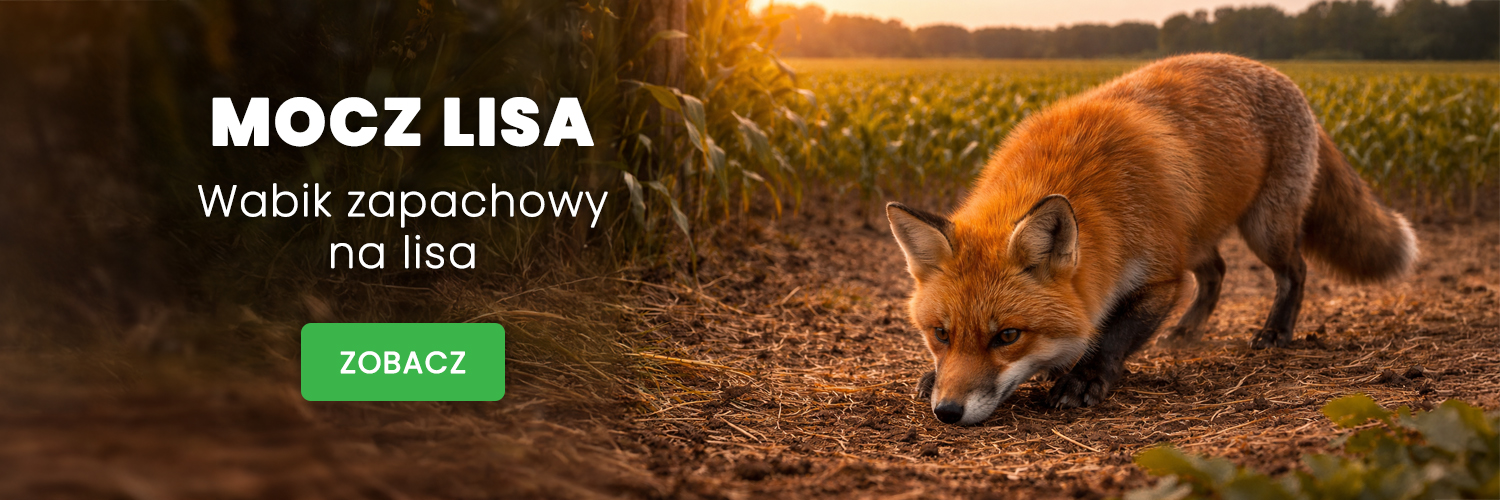 Mocz lisa wabik zapachowy