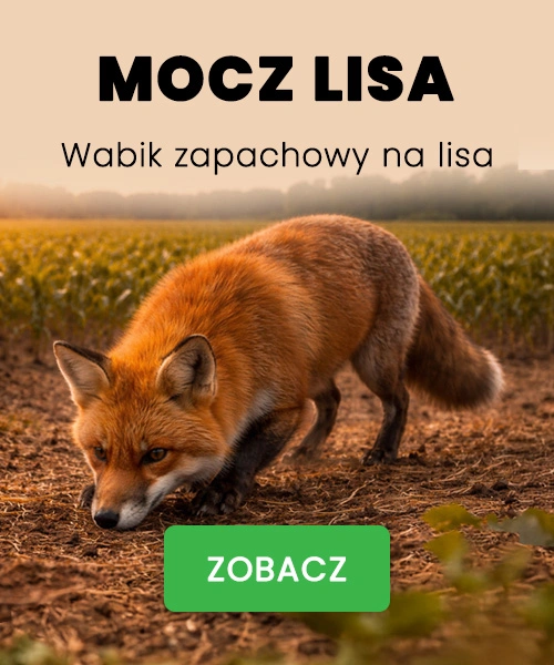 Mocz lisa  MOBILE