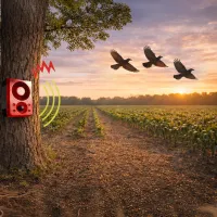 Odstraszacze ptaków