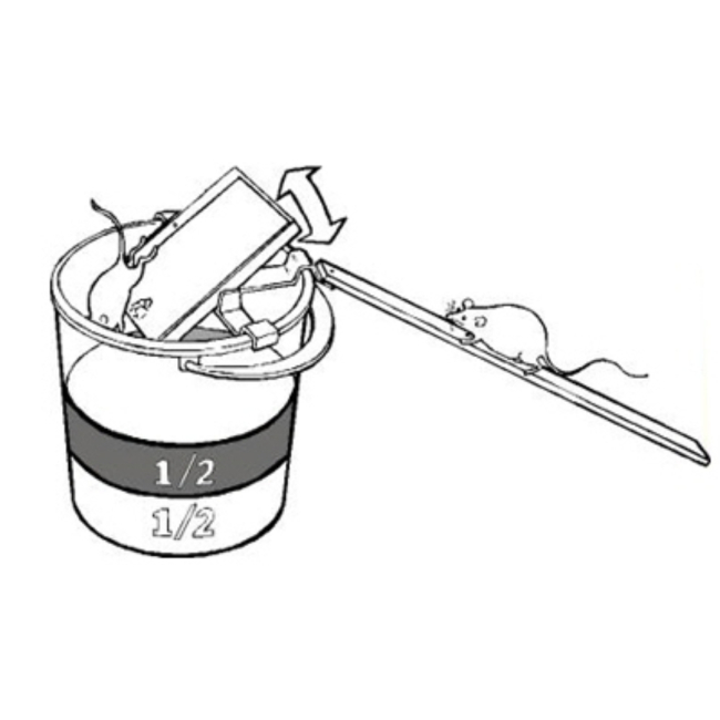 Pułapka masowego odłowu myszy i szczurów