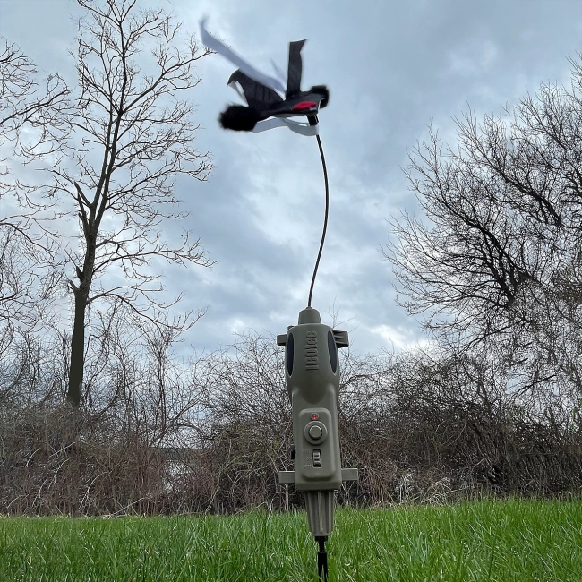 Wabik na lisy ICOTEC PD200 - skuteczny ruchowy wabik na drapieżniki